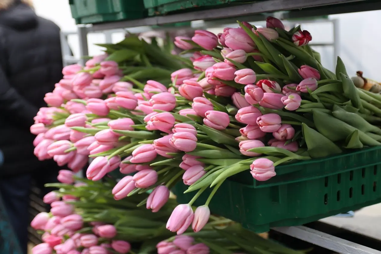 Фото: primamedia.ru