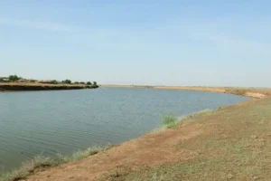 biologi spbgu i ibvv nashli 25 novyh vidov mollyuskov v reke eruslan-lessontime-ru-0