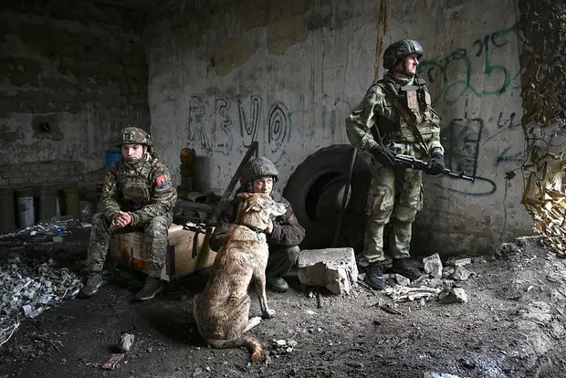 Вводная картинка