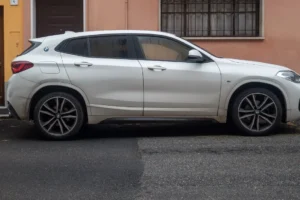 korolevskij sud izyal  2 u kolmykovoj v podmoskove-lessontime-ru-0