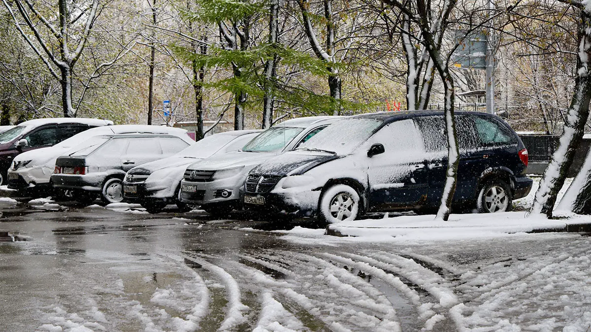 Синоптик Тишковец: Снежный покров в Москве растает 1 мая