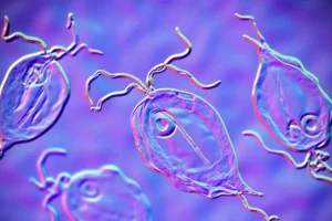 Муром и область реагируют на 106 случаев кишечной инфекции murom i oblast reagiruyut na 106 sluchaev kishechnoj infekczii-lessontime-ru-0