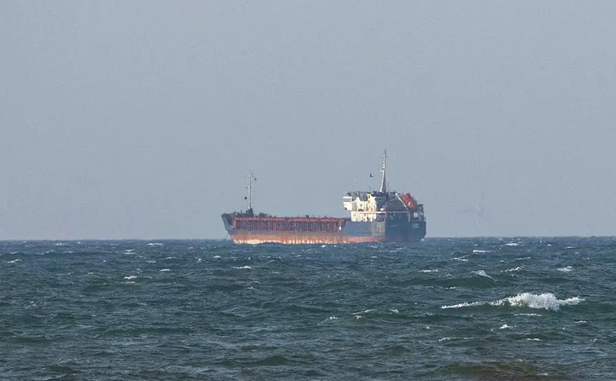 Cухогруз Caffa (Johan Nilsson / TT / Keystone Press Agency / Global Look Press)