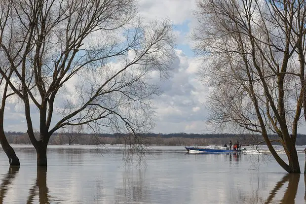 Вводная картинка