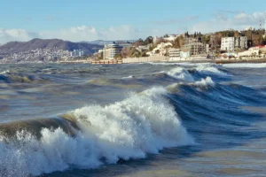 spasaem delfinov krasnodarskogo kraya ot rybolovnyh setej-lessontime-ru-0
