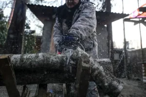 Максим Соколов (ВсеИнструменты.ру) рассказал о защите слуха на даче maksim sokolov vseinstrumentyru rasskazal o zashhite sluha na dache-lessontime-ru-0