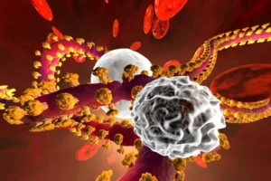 Эбола не устоит – Никифоров и Малинникова из РНИМУ и РМАНПО поясняют ebola ne ustoit nikiforov i malinnikova iz rnimu i rmanpo poyasnyayut-lessontime-ru-0