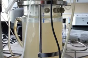 ficz biotehnologii ran i kazanskij universitet razvivayut vodoochistku-lessontime-ru-0