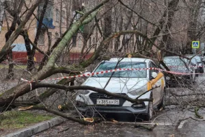 mchs rf pomogaet zhitelyam kirova posle poryvistogo vetra-lessontime-ru-0