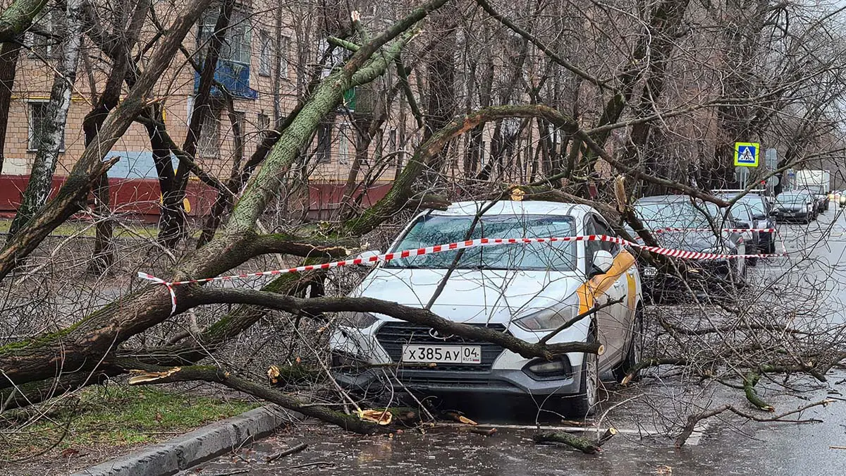 Из-за сильного ветра в Кирове пострадало несколько автомобилей