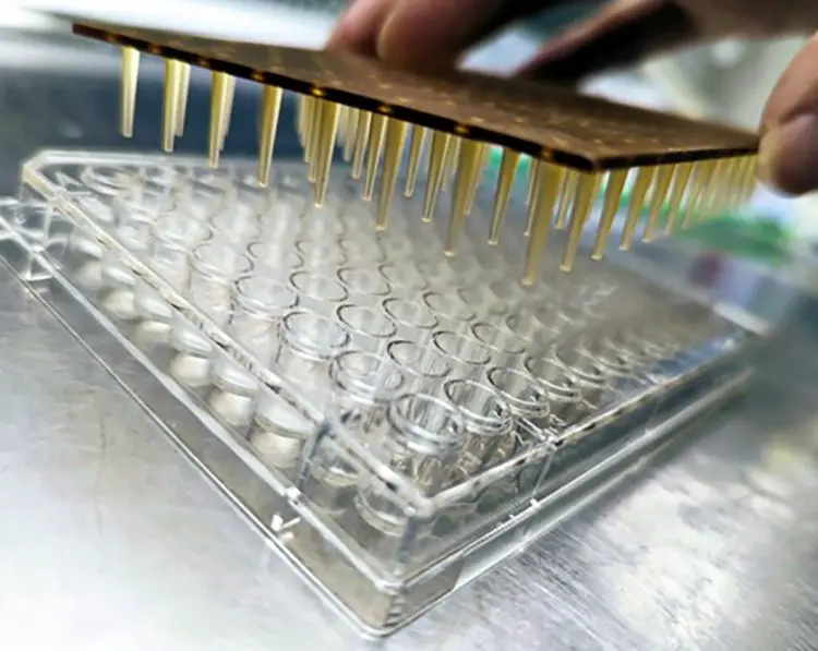 scientificrussia.ru