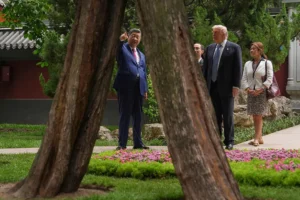 Си Цзиньпин провел Трампу экскурсию по Чжуннаньхаю si czzinpin provel trampu ekskursiyu po chzhunnanhayu-lessontime-ru-0