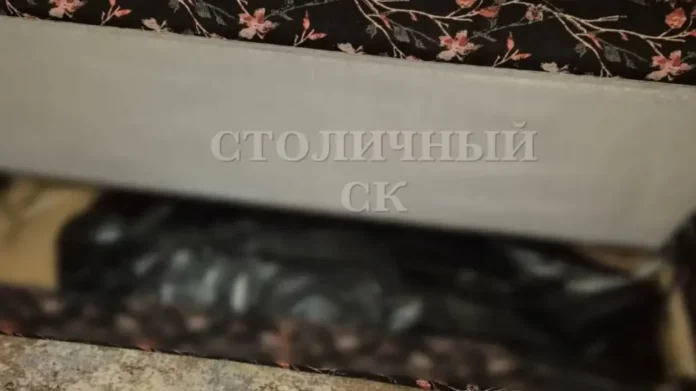 sledstvennyj komitet moskvy raskryl rezonansnye prestupleniya v stolicze-lessontime-ru-0