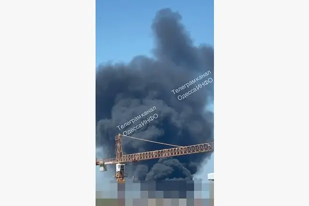 Вводная картинка