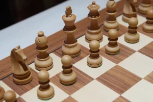 ФШР требует отстранить Камышина из FIDE: федерация под прицелом fshr trebuet otstranit kamyshina iz federacziya pod priczelom-lessontime-ru-0