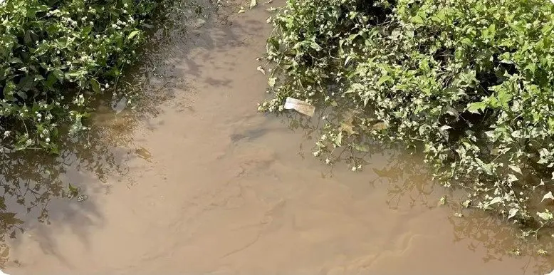 "Грязная вода" в приморском посёлке Рыбачьем вызвала реакцию прокуратуры Пресс-служба Амурской бассейновой природоохранной прокуратуры