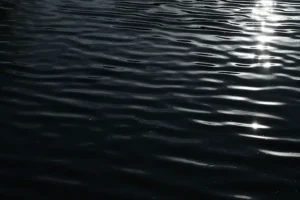 delo o zagryaznenii reki komariha vozbudili v podmoskove-lessontime-ru-0