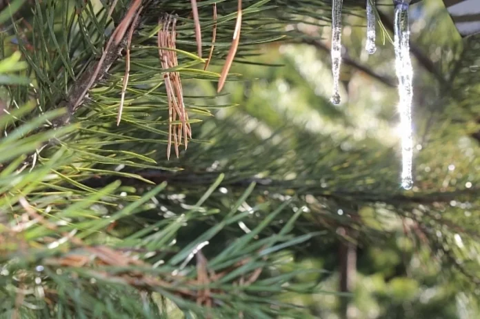 5408d80d-cec0-4c16-bb2a-e3dd8ed6b261-6789041e