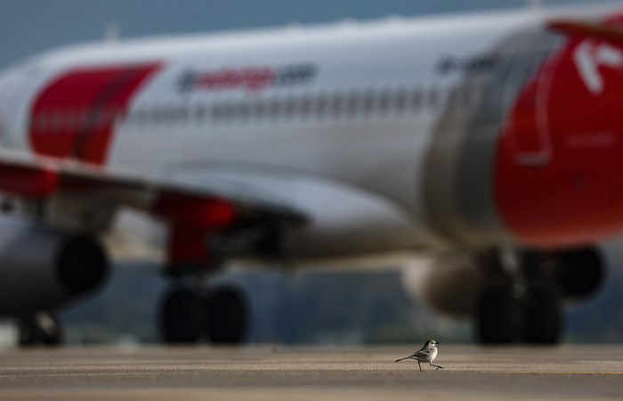 Драматический поворот: "Азимут" вынужденно прекращает полеты в Азербайджан после беспрецедентного решения 4c64c772-0139-441b-b216-fe0fa0a9b1ca-67c2fb28