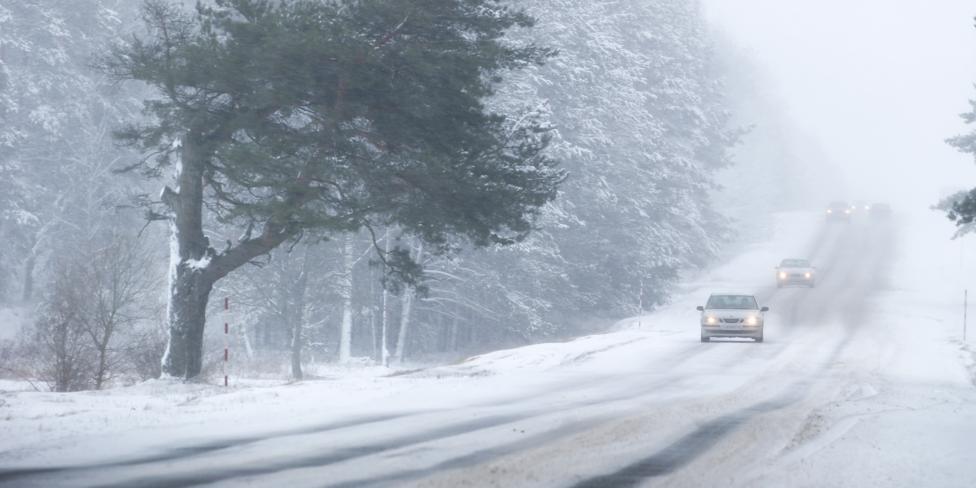 Москвичей информируют об ухудшении погодных условий Снегопад в поселке Мир в Белоруссии