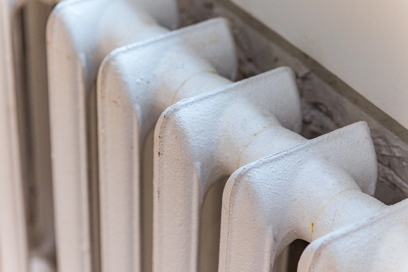 Фото: primamedia.ru