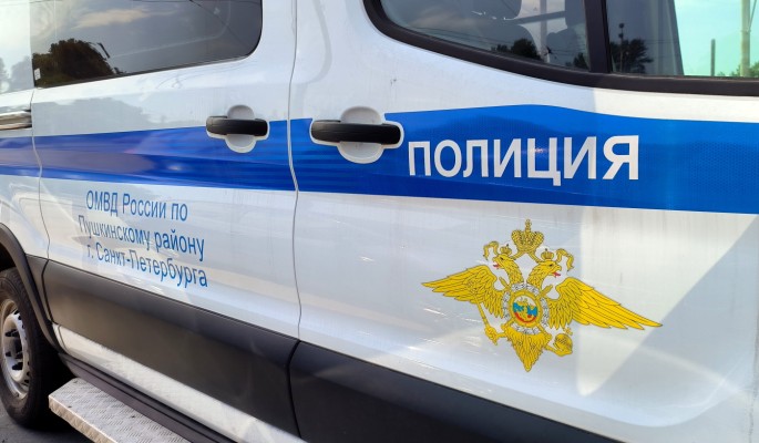 Под Санкт-Петербургом мужчина обнаружил останки человека