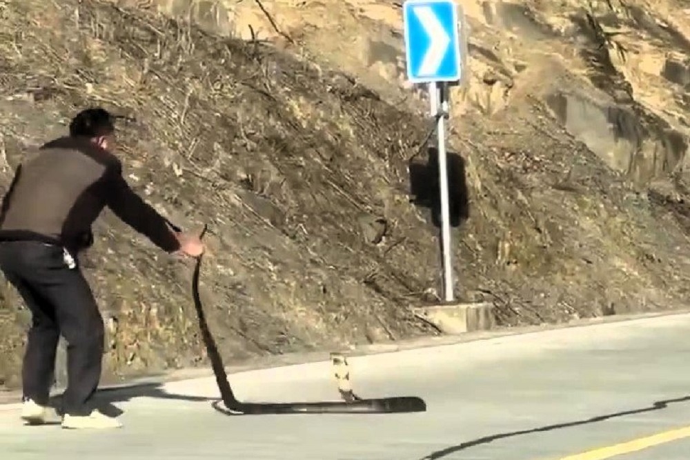 Российская Газета