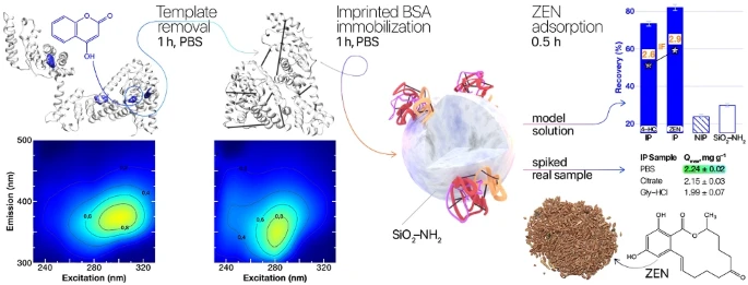 Революционный метод обнаружения грибковых токсинов с помощью молекулярных "отпечатков" f49b3461-967b-4e3c-9440-5639a289db68-67b872f7