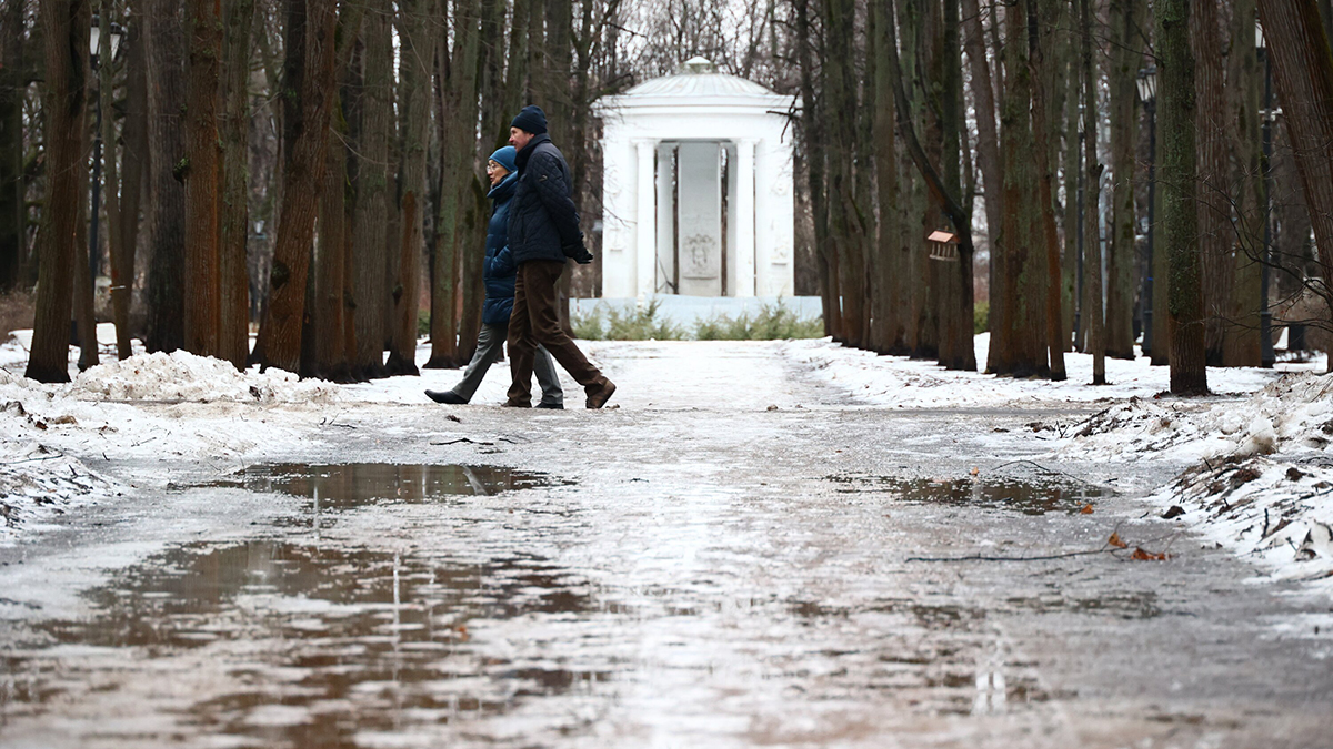 Погода в Москве 30 января: экстремальное потепление
