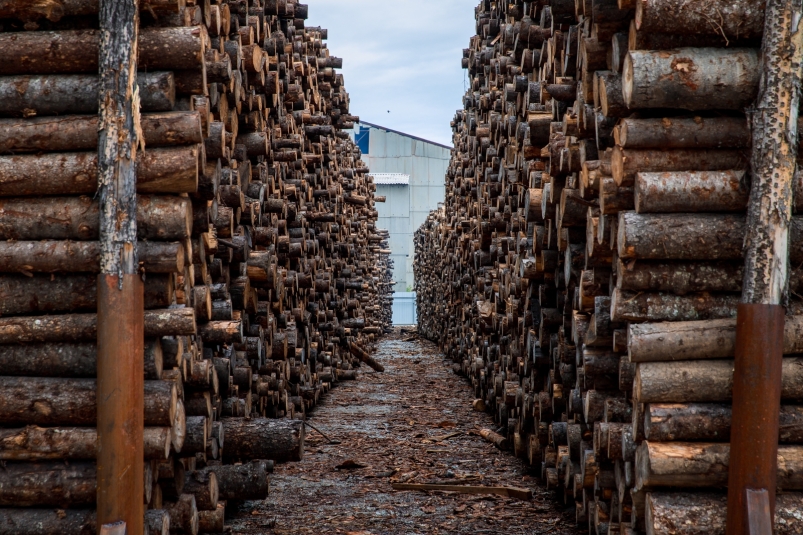 Несоблюдение правил безопасности привело к трагедии на производстве в Приморье 3478bbe0-02ce-41d0-b449-b4a945b595d0-67e99ab2