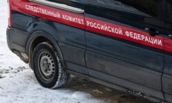 В Калужской области расследуют резонансное происшествие с сотрудниками лесничества 699489a7-a6aa-4949-803b-0707f01fcc22-67edcbdc