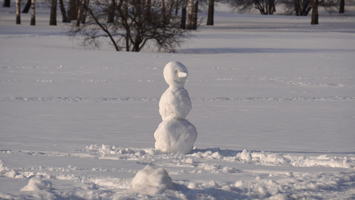 Удивительные праздники 18 января в России и мире СнеговикГМЗ КоломенскоеНагатинс