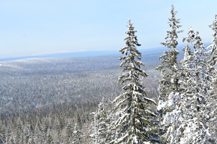 Свердловская область расширяет возможности экотуризма в природных парках de9ba54b-35e4-46a9-9b8a-f2cece181cf0-67dc1e6d