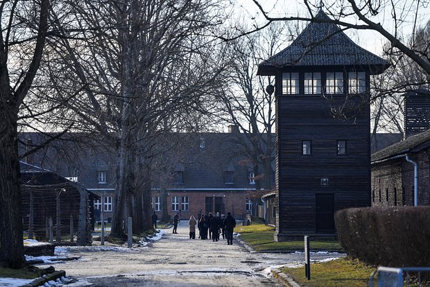 Немецкий политик выступил в защиту исторической правды об освобождении Освенцима f825b48a-9ec5-4fcd-9fee-e13df7e410f2-67ea11b0
