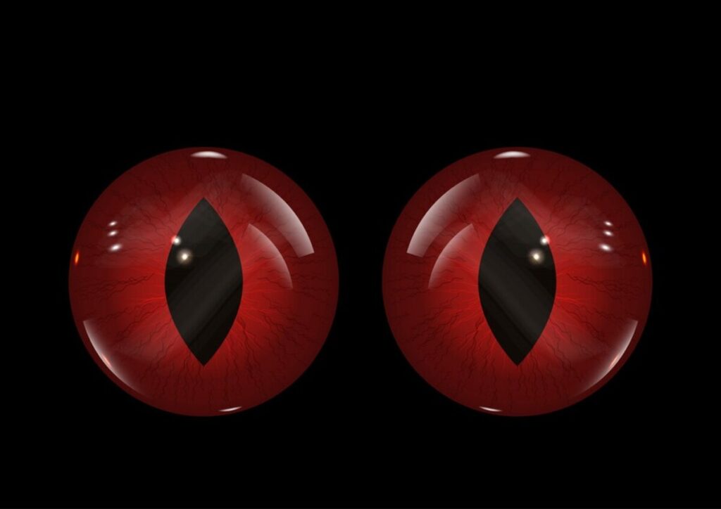 глаза в темноте