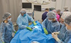 Успешная операция спасла жизнь пациента с редкой онкологией в Приморье 057df334-4440-48d4-bda5-d68fba48ed79-6800ece5