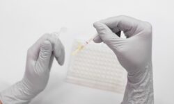 Инновационная экспресс диагностика безопасности свежевыжатых соков 209911ae-f8fd-4988-b463-543b066c4fd7-67f98a66