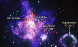 Звездный букет: космическое чудо ко Дню Святого Валентина 328a3b23-8948-4fae-a074-cc812a8cc872-680116ac