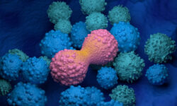 37bf5425-4f04-43e1-a5db-ca2b58d5bb2c-67f5a729