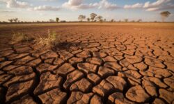 3da96daa-6842-40d8-88c1-2b4052360cc6-67fdda8b