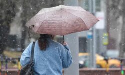 Погодные изменения принесут осадки на юг России 4b11c97d-0e77-4668-97fa-dc9a0aa7712d-67f30955