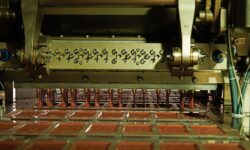 Китай и Индия укрепляют позиции Москвы в несырьевом экспорте 5c241338-a3e8-4bd7-9bb0-2dc8a72e66e0-67fd245d