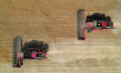 Успешная сделка на агрорынке 6a9ab7f1-bde9-4674-87cf-6fe1c854dde8-67ff51e4