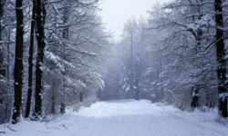 Погода в Москве и области подарит свежесть и зимнее настроение 70ae7277-a4b9-4a8b-97d0-f5e44b2799e2-6802319b