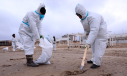 Волонтёр Пайгачкин поделился опытом участия в экологической очистке пляжей Анапы 70f3efac-49c2-4329-be9d-b9259bcde829-67fd719c