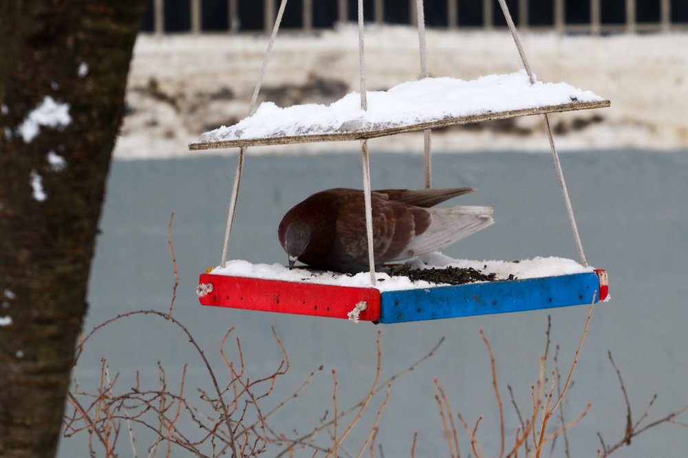 Народный календарь. Как привлечь счастье 19 февраля