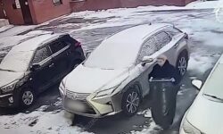 Раскрыты детали задержания внучки бывшего мэра Самары Тархова 762df645-9cf7-46bd-9312-abd6932081ab-67fd348b