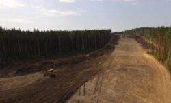 Утвержден новый этап возведения подъездной дороги к транспортно-логистическому центру «Большое Седельниково» 7689c310-9b5b-4ce3-8aec-ff5596f39b84-680a31ac