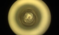 Марсоход Perseverance совершил уникальное открытие на Марсе 7962ddbe-9d4b-4619-8b66-ecbacd702f74-67fbf3d0