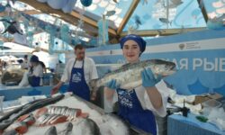 Масленичные гастрономические сражения захватывают рыбные рынки столицы 8ab34dff-11e1-4146-b3b9-07d3ffa95c7e-680b6822